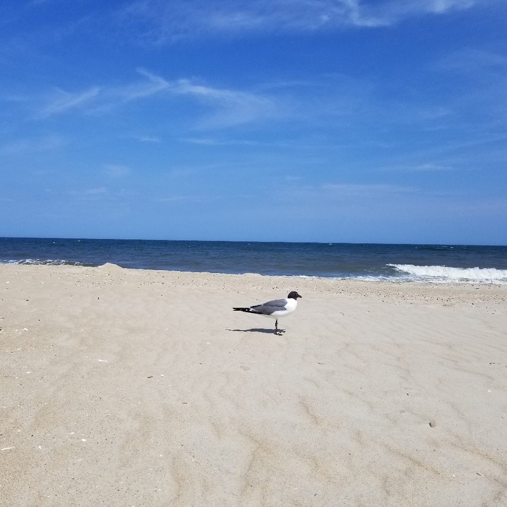 Meet your Posher, Denise